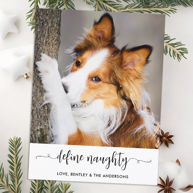 Modern Define Naughty Personalised Funny Pet Photo Holiday Postcard (Creator Uploaded)