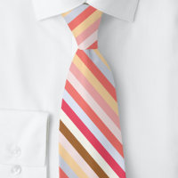 Modern Diagonal Muted Candy Stripe