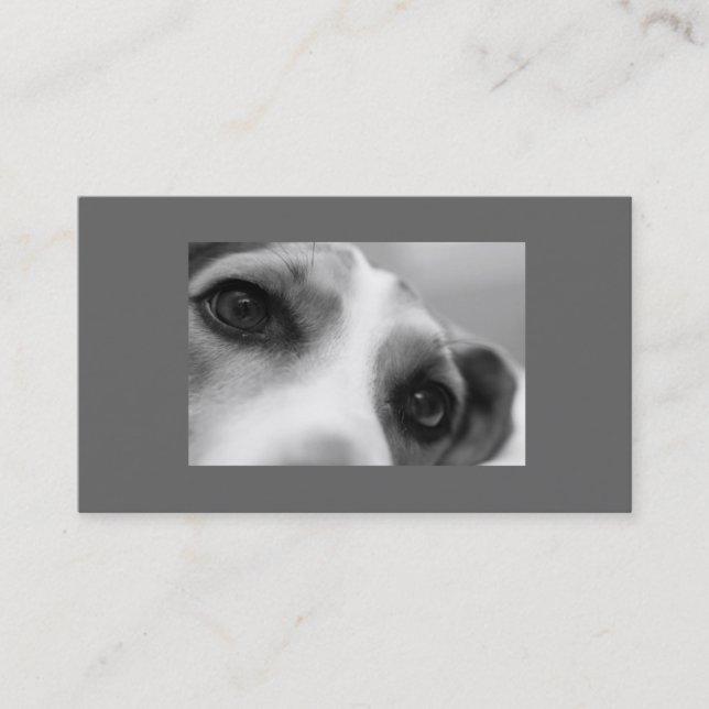 Modern Dog Eyes and Paw Business Card (Front)