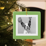 Modern  Dog Photo Green Simple Lovely Gift Ceramic Ornament<br><div class="desc">Modern  Dog Photo Green Simple Lovely Gift</div>