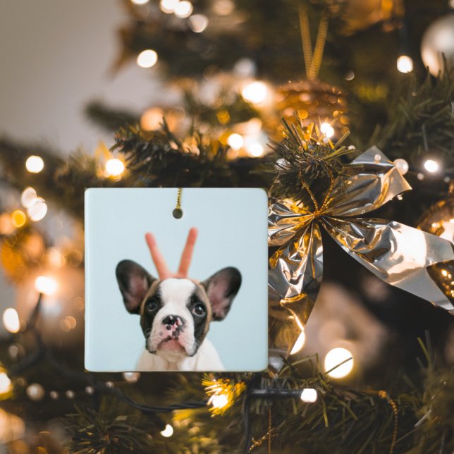 Modern Dog Photo | Merry Christmas  Ceramic Ornament (Creator Uploaded)