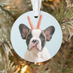 Modern Dog Photo   Merry Christmas Ornament