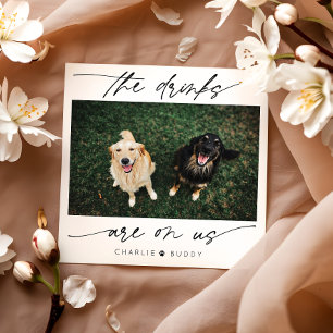 Modern Drink Are On Us Pet Photo  Napkin