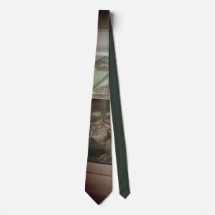 Modern Earth-Toned Silk Tie
