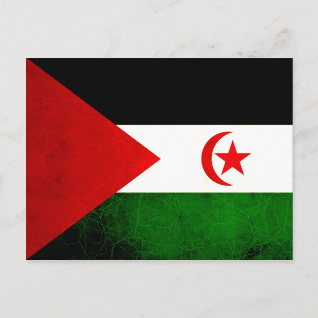 Modern Edgy Sahrawi Flag Postcard (Front)