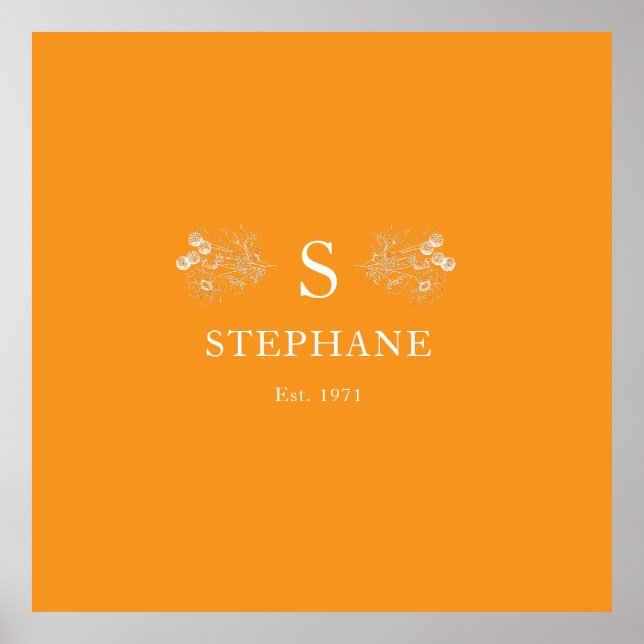 Modern Elegance Cushion Poster (Front)