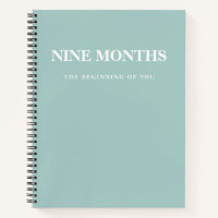 Modern Elegant Minimal Mint Pregnancy Gift