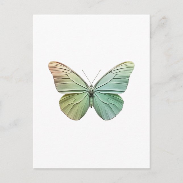 Modern elegant minimalist Butterfly Design  Postcard (Front)