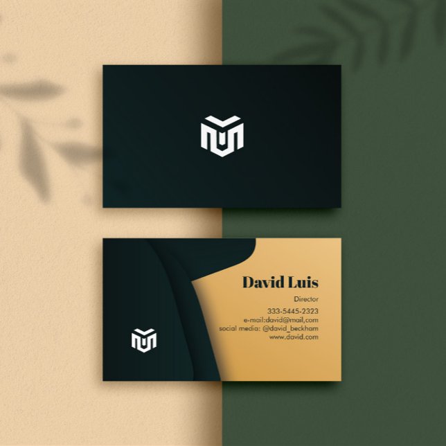 Modern elegant professional Business Cards logo (Modern Bussiness Card)