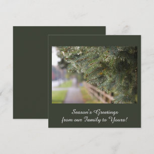 Modern, Elegant Shimmering Evergreen Needles Green Holiday Card