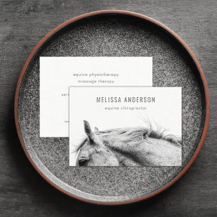 Modern Equine Chiropractor Physiotherapist Photo Business Card