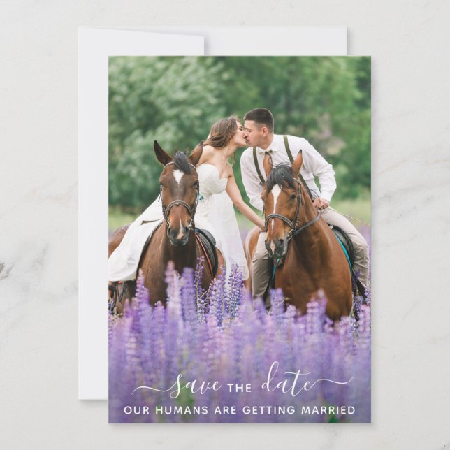 Modern Equine Personalised Pet Photo Horse Wedding Save The Date (Front)