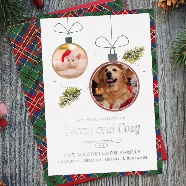 Modern Family Pet Photos Christmas Tartan (Modern Family Pet Photos Christmas Tartan Foil Holiday Card)
