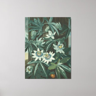 Modern Flower Painting Canvas Print