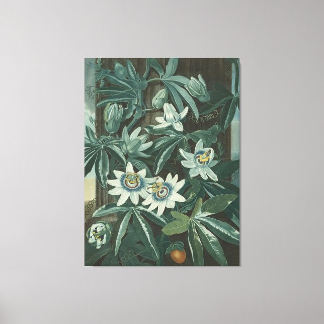 Modern Flower Painting Canvas Print (Front)