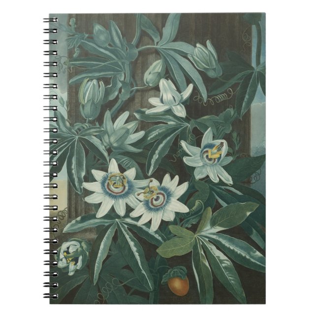 Modern Flower Painting Notebook (Front)