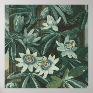 Modern Flower Painting Poster