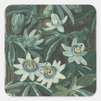 Modern Flower Painting Square Sticker