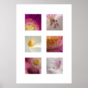 Modern Flower Print