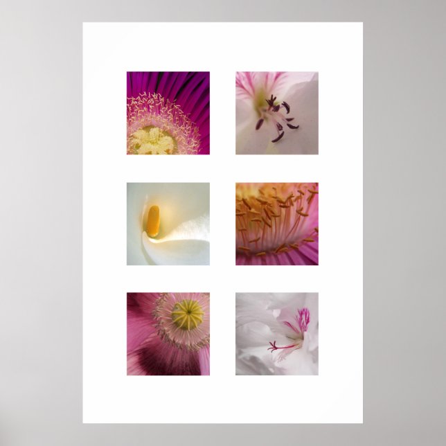 Modern Flower Print (Front)