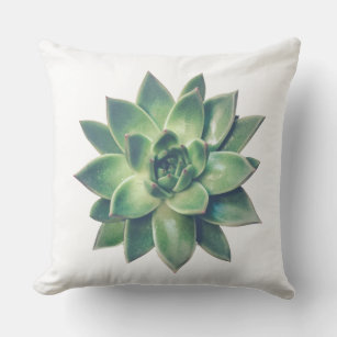 Modern Friendly Green Succulent Plant  on White Cushion