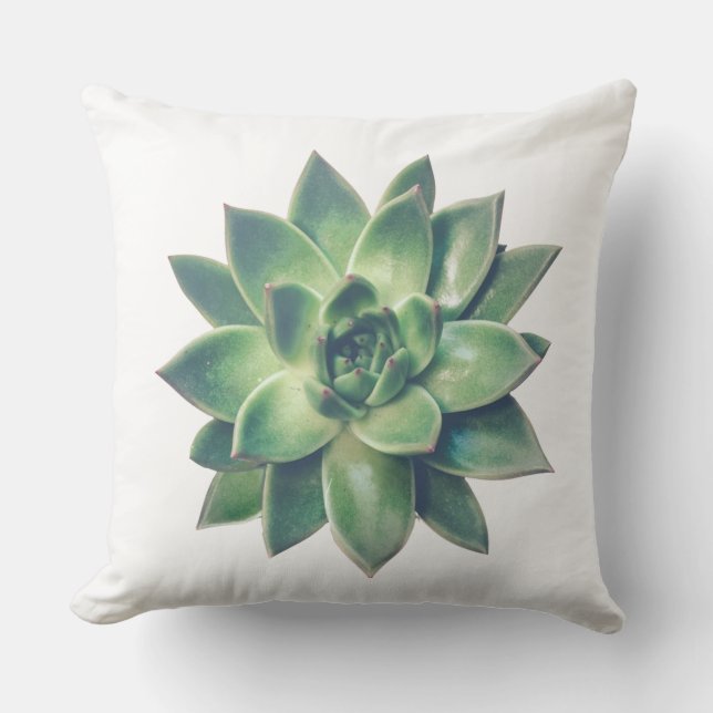 Modern Friendly Green Succulent Plant  on White Cushion (Front)