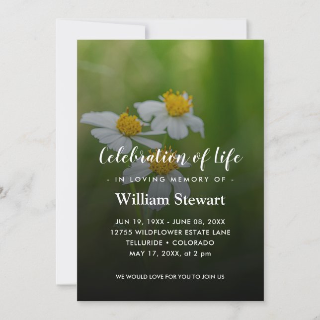 Modern Funeral | Daisies Celebration of Life Invitation (Front)