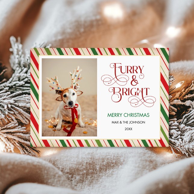 Modern Funny Christmas, Furry and Bright Dog Photo Holiday Card (Creator Uploaded)