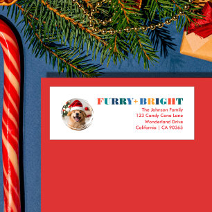 Modern Furry & Bright Multi-Coloured Text Photo