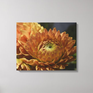 Modern Gallery Canvas – Elegant Art for Any Room Print