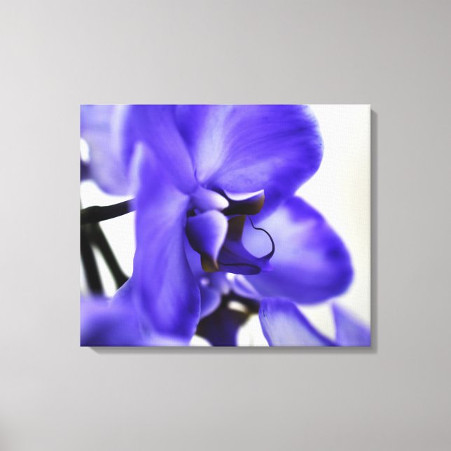 Modern Gallery Canvas – Elegant Art Print (Front)