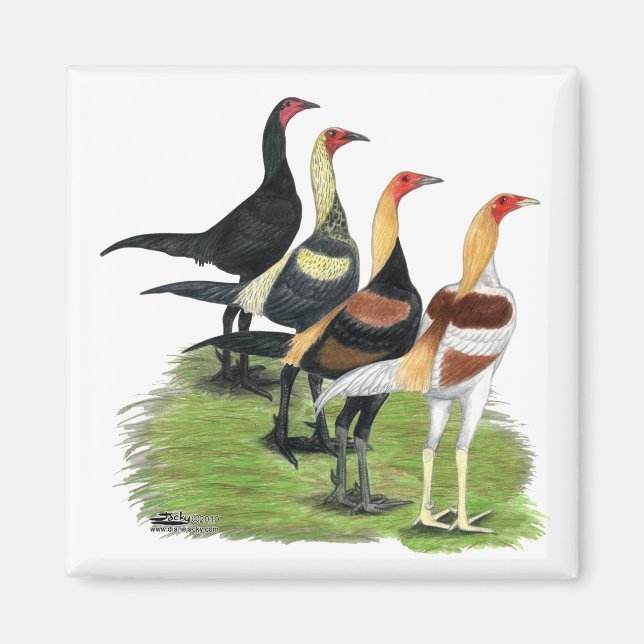 Modern Game Roosters Magnet (Front)