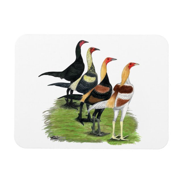 Modern Game Roosters Magnet (Horizontal)
