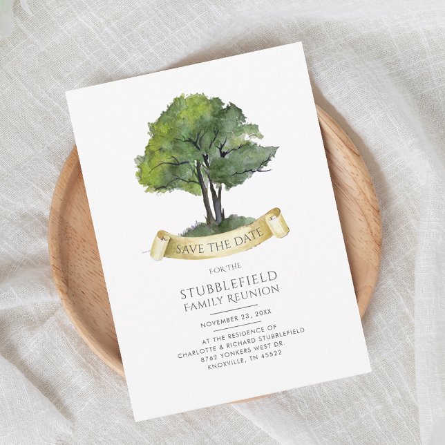 Modern Genealogy Tree Family Reunion Save the Date (Family Tree Genealogy Cousins Gathering Invitation)