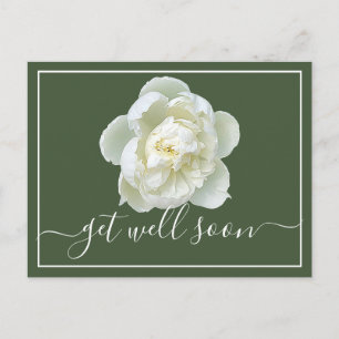 Modern Get Well Soon White Peony Botanical Floral Postcard
