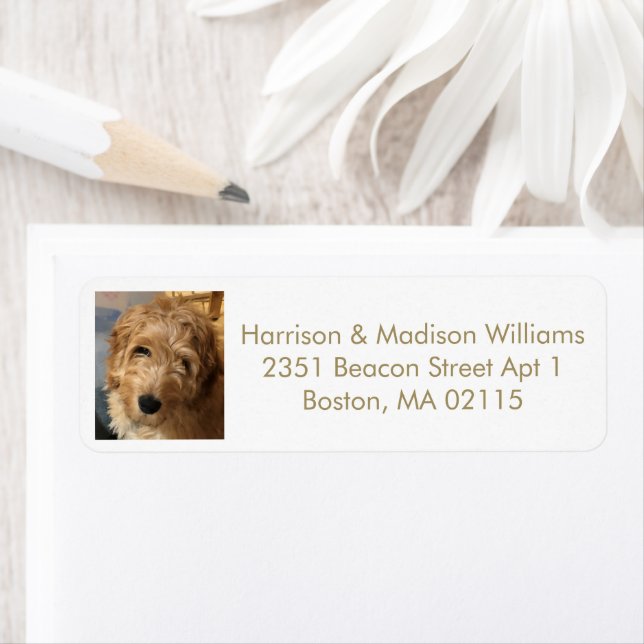 Modern gold white custom photo Return Address (Insitu)