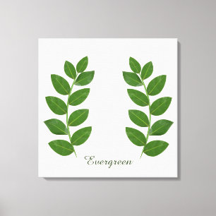 Modern Green Bay Leaves Canvas Print