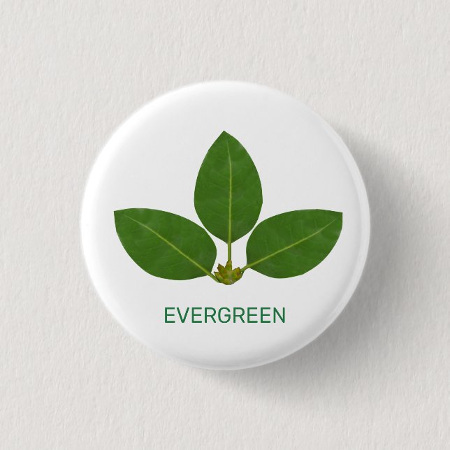 Modern Green Leaves on White 3 Cm Round Badge (Front)