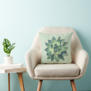 Modern Green Succulent Plant  on Light Green Cushion