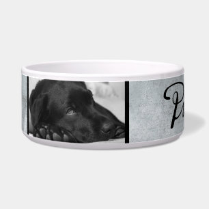 Modern Grey Dog`s Name in Black Script 2 Photo