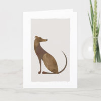 Modern Greyhound Portrait