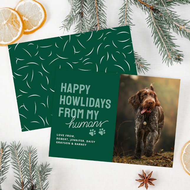 Modern Happy Howlidays Pet Christmas Card (Creator Uploaded)
