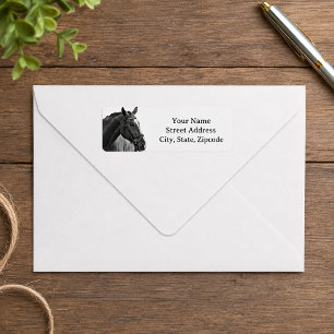 Modern Horse Black and White Equestrian
