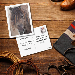 Modern Horse Painting Postcard