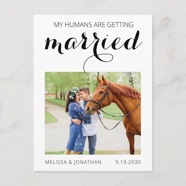 Modern Horse Photo Pet Wedding Save The Date Announcement Postcard (Front)