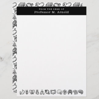 Modern Human Anatomy Science Sketch Personalised Custom Letterhead