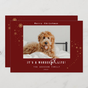 Modern It's A WonderFUR Life Pet Photo Christmas H Holiday Card