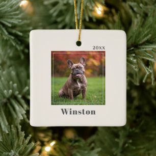 Modern Ivory Custom Pet Name Photo Ceramic Ornament