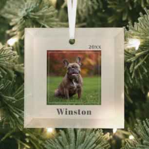 Modern Ivory Custom Pet Name Photo Glass Tree Decoration