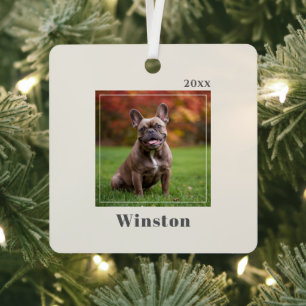 Modern Ivory Custom Pet Name Photo Metal Tree Decoration